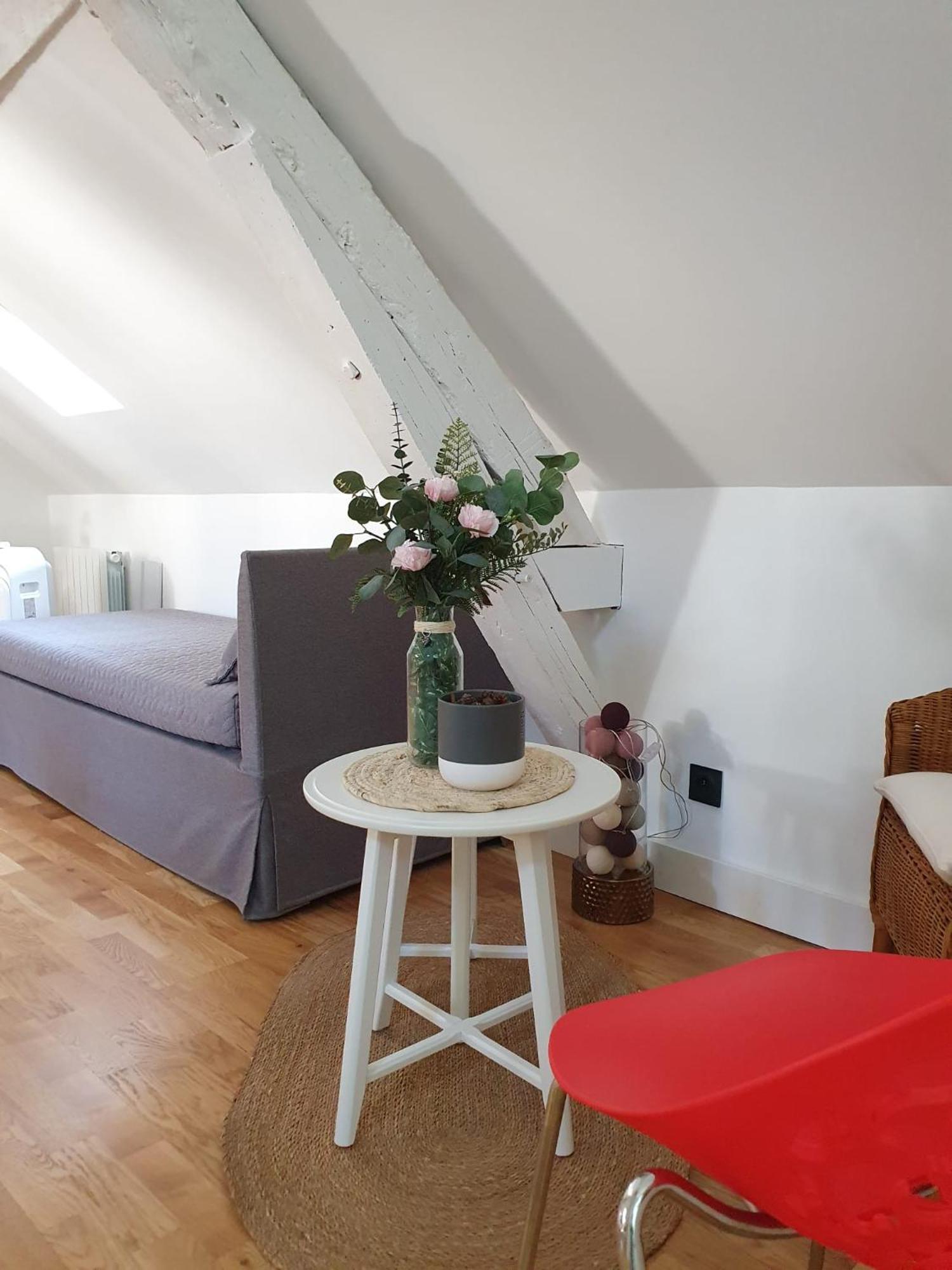 Apartmán Quietude Au Bord De Loire. Orléans Exteriér fotografie