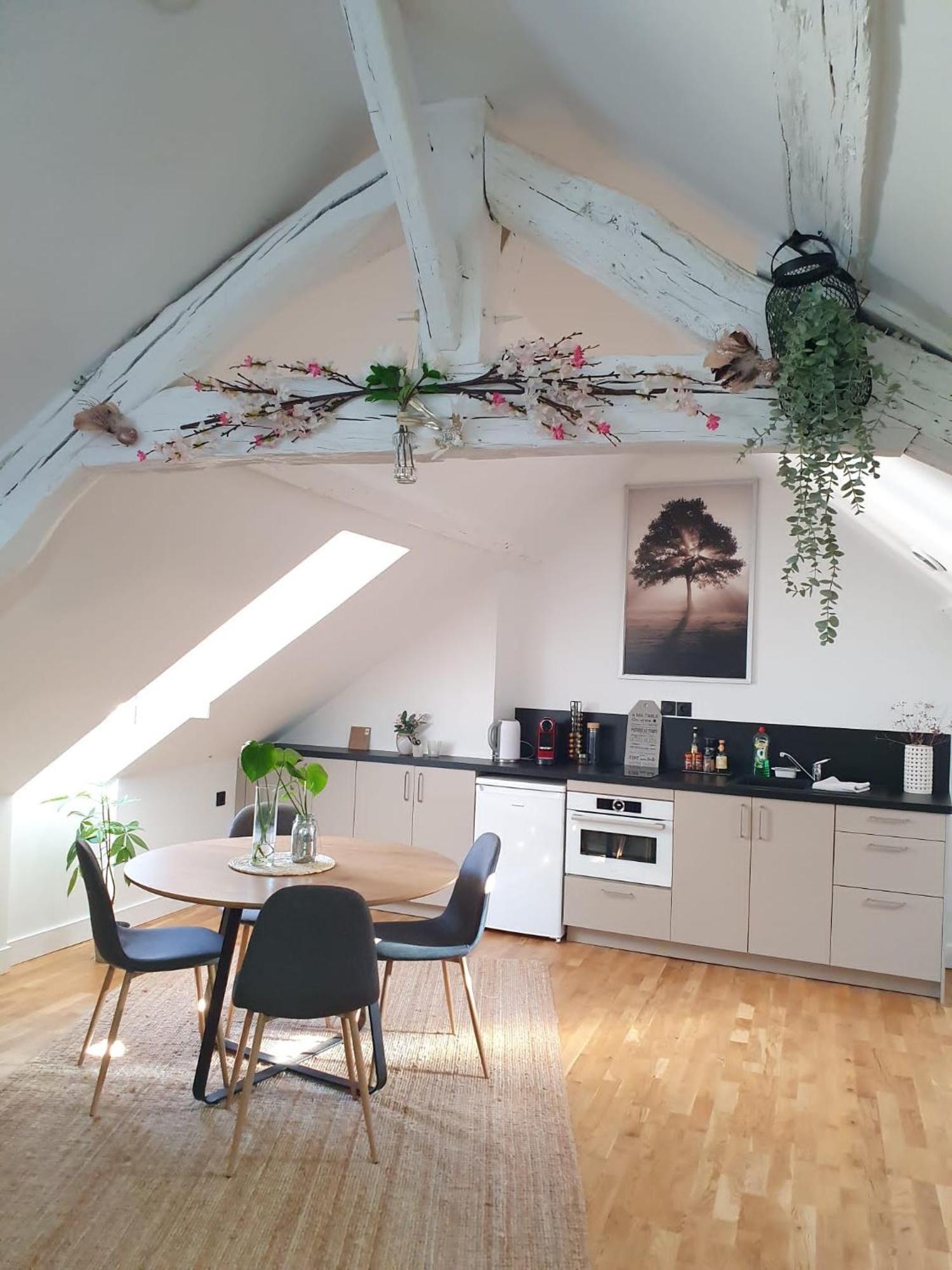 Apartmán Quietude Au Bord De Loire. Orléans Exteriér fotografie